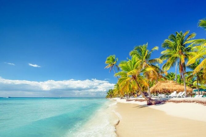 Iberostar Selection Bavaro - Round Trip Shuttle - Punta Cana Airport - Who this transfer suits best