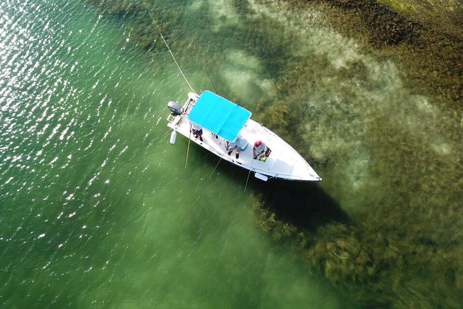 Inshore & Fly Fishing Punta Cana Private charter at Marina Cap Cana - Your private 4-hour charter: fishing + fly-fishing with your own plan