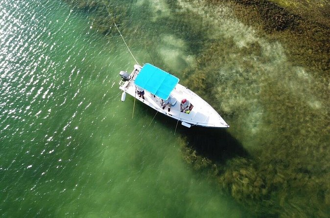Inshore & Fly Fishing Punta Cana Private charter at Marina Cap Cana - What to watch for: comfort, expectations, and motion on the water