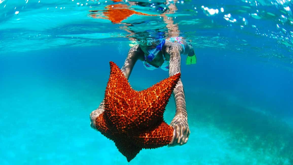isla saona día completo - Speedboat or catamaran: what changes on the water