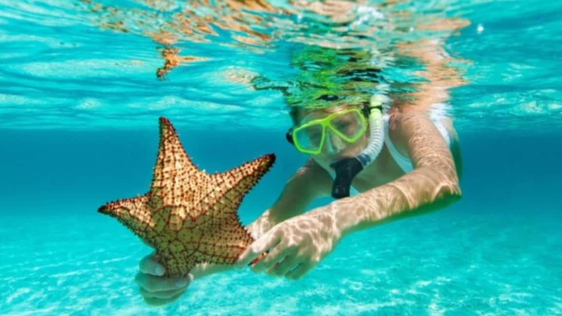 isla saona día completo - Who should book Saona (and who should skip it)