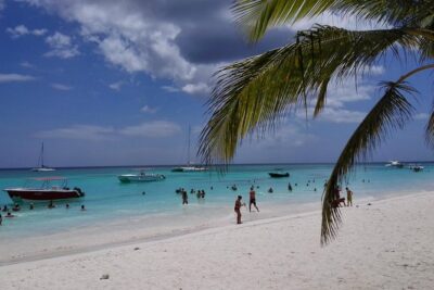 Isla Saona El Paraiso del Caribe - Saona Island Time: Beach Relaxation and a Typical Dominican Buffet