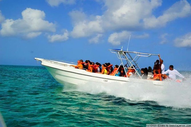 Isla Saona El Paraiso del Caribe - Price and Value: Is $80 Worth It?