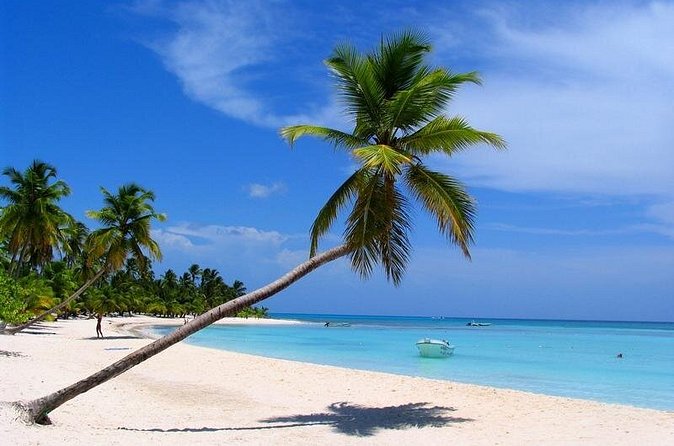 Isla Saona El Paraiso del Caribe - Who This Tour Fits Best (and Who Might Want Another Option)