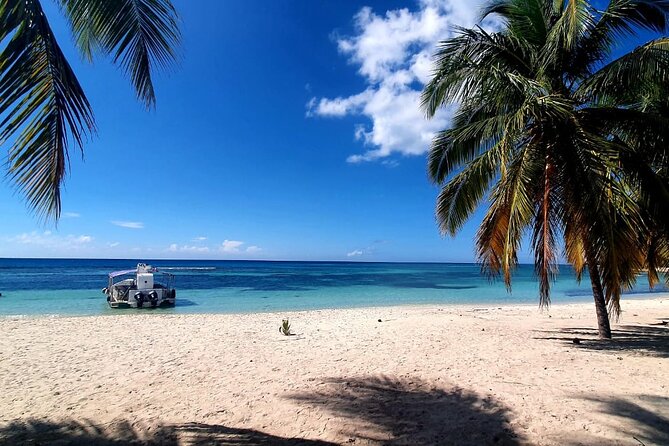 Island DE Saona: EN Small Group Tour on Trimaran Motorise - Key highlights you’ll care about