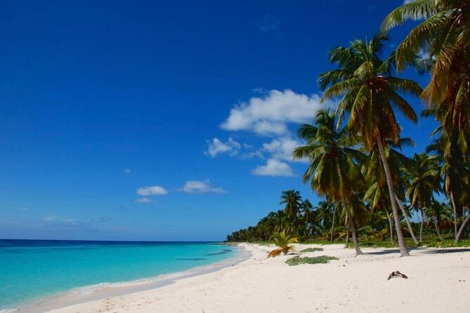 Island DE Saona: EN Small Group Tour on Trimaran Motorise - What’s included for comfort (and what you should bring)