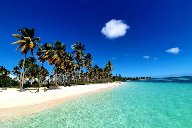 Island DE Saona: EN Small Group Tour on Trimaran Motorise - Should you book Island de Saona on Trimaran Motorise?
