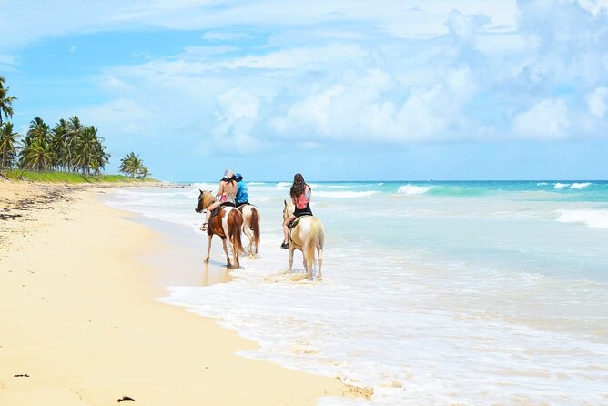 Jungle and Beach Horse Ridding round trip transportatin. - Key Points You’ll Care About Before You Go