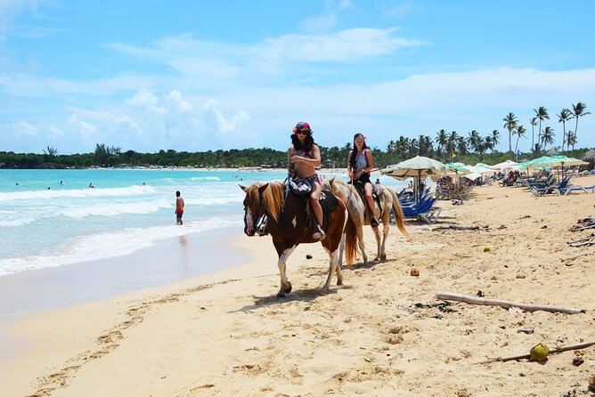 Jungle and Beach Horse Ridding round trip transportatin. - The Horse Lesson: What You Need to Be Ready For