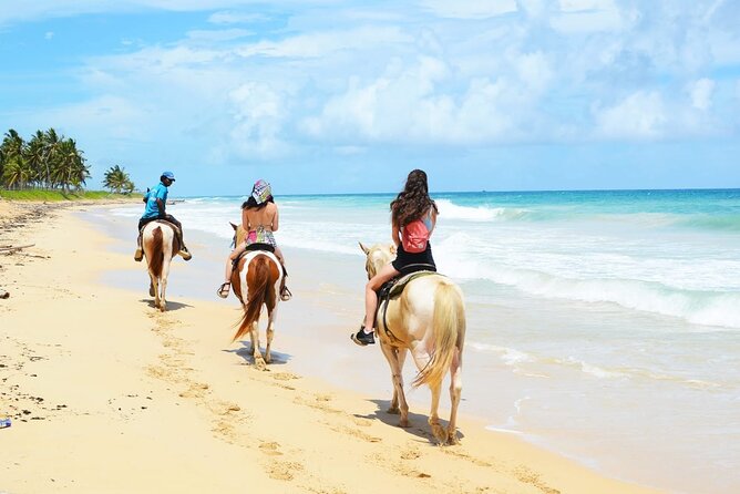 Jungle and Beach Horse Ridding round trip transportatin. - Macao Beach Stop: Swim Time and Photo Time That Actually Works