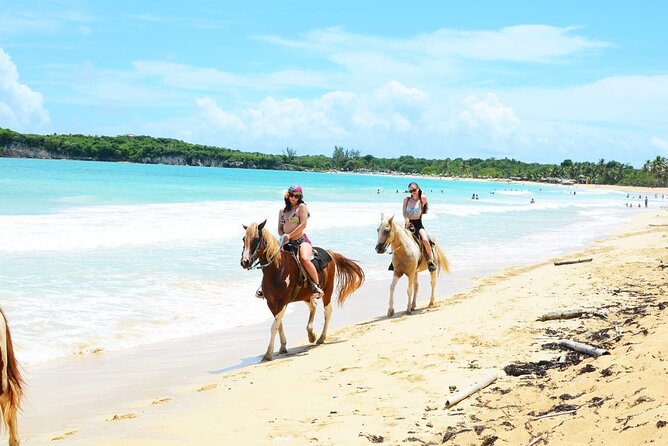 Jungle and Beach Horse Ridding round trip transportatin. - Price and Value: Is $51 Worth It Here?