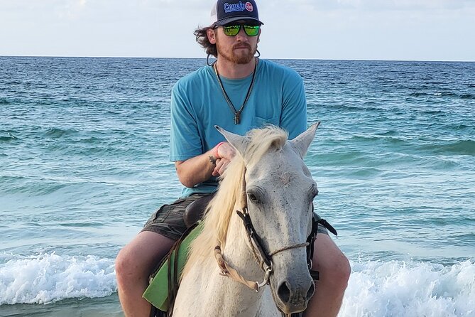 Jungle and Beach Horse Ridding round trip transportatin. - Pickup, Wi-Fi, and Air-Conditioned Comfort: Getting There Without Stress