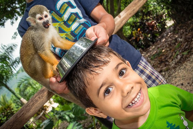 Jungle Buggies and Monkeyland from Punta Cana - Lunch in Dominican Style: The Included Meal You’ll Be Thankful For