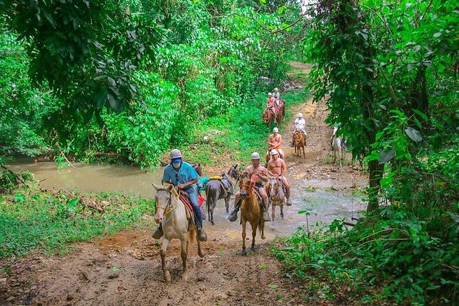 Jungle Buggies + Zilplining + Horseback Ride + Countryside + Macao Beach - Dune buggies at Hacienda Tuko: who drives and what the ride feels like