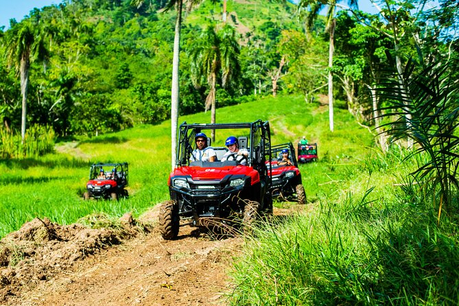 Jungle Buggies + Ziplines Adventures - Key Points to Know Before You Go