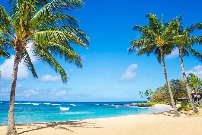 Kayak Adventure Photography on the beach - The Beach Stop: Palm Trees, Drone-Style Video, and Photo Time