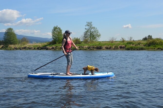 Kayak or Paddleboard Rentals Sosua , Cosita Rica, Neptuno Beach - Delivery and timing: why it’s the whole point