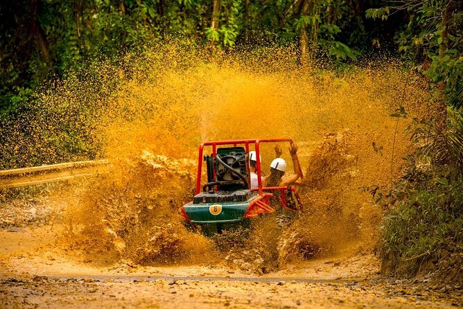 La Hacienda Park: Punta Cana's number one adventure park - Dominican safari lunch: Mamajuana, coffee, and buffet comfort