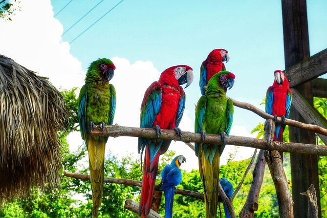 La Hacienda Park Tour - Quick hits before you go