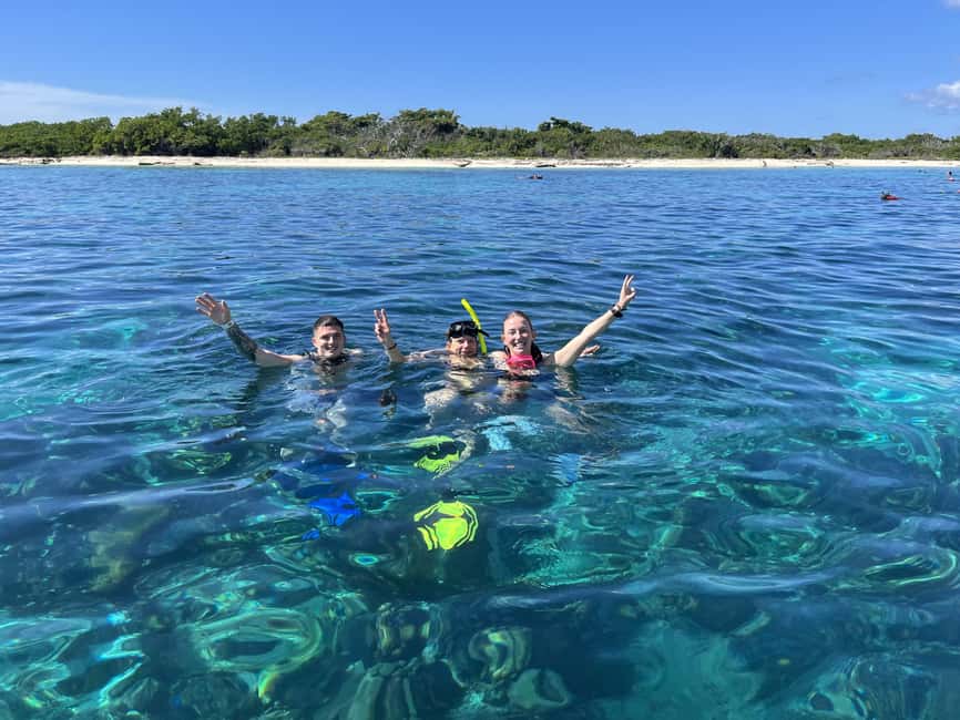 La Romana: Catalina Island for Mein Schiff Cruise Passengers - The Aquarium stop: calmer water for confidence and easier viewing