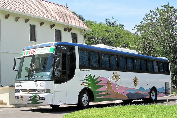 La Romana port transfers (Punta Cana airport to port) - Price and logistics: what $126.94 per group really buys you