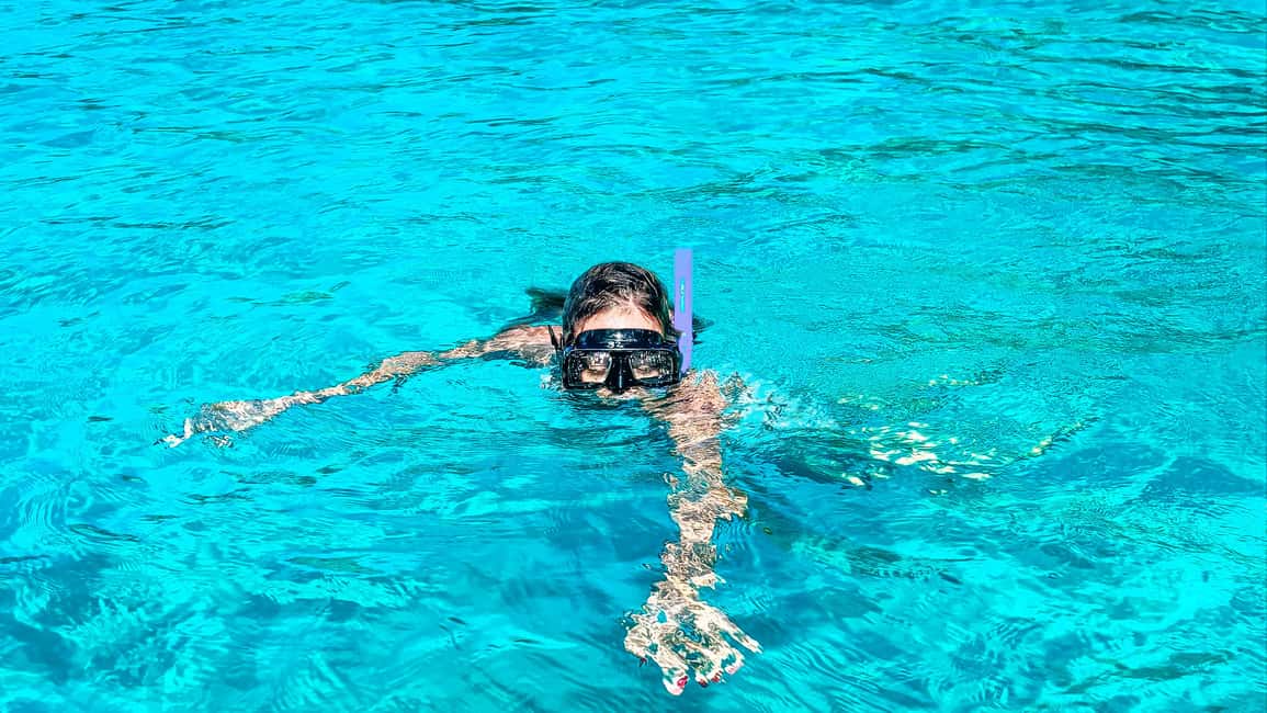 La Romana: Saona Crusoe VIP for cruise guests - Mangroves and sea turtles: seeing the ecosystem without trampling it