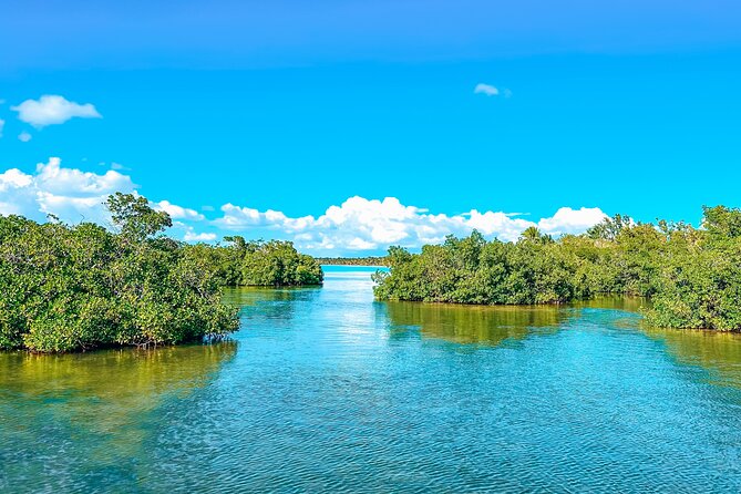La Romana: Saona Crusoe VIP - Kreuzfahrtgäste - Canto de la Playa: the remote corner for clear water and calm time