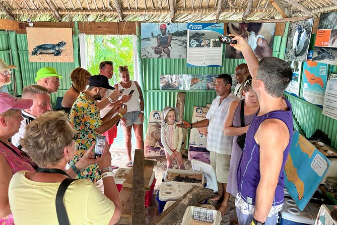 La Romana: Saona Crusoe VIP - Kreuzfahrtgäste - Catuano Beach and snorkeling gear you don’t have to pack