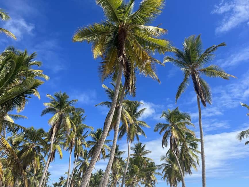 La Romana: Saona Island for Norwegian Sky Cruise Passengers - Catuano Beach: snorkel or just soak up the sun