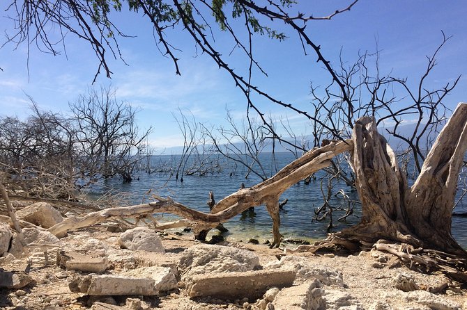 Lake Enriquillo - Why Lake Enriquillo feels otherworldly