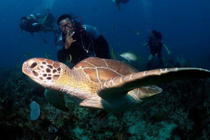 Learn to Scuba Dive in Punta Cana - Key Highlights Worth Your Time