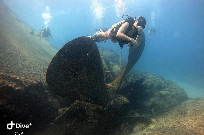 Learn to Scuba Dive in Punta Cana - What You Actually Do in the Water (And Why It Works)