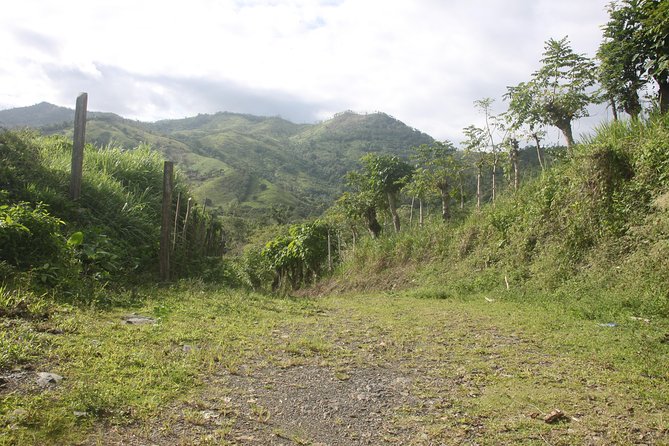Let's do hiking in Punta Cana - Key Highlights That Matter on This Punta Cana Hike
