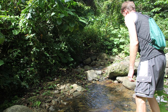 Let's do hiking in Punta Cana - Leaving Punta Cana’s Beaches for the Eastern Cordillera