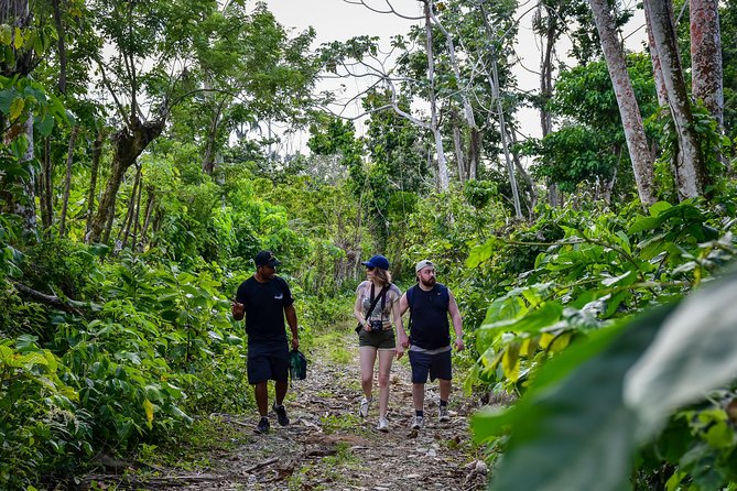 Let's do hiking in Punta Cana - Local Rancho Time: Coffee, Chocolate, and the Dominican Flavors
