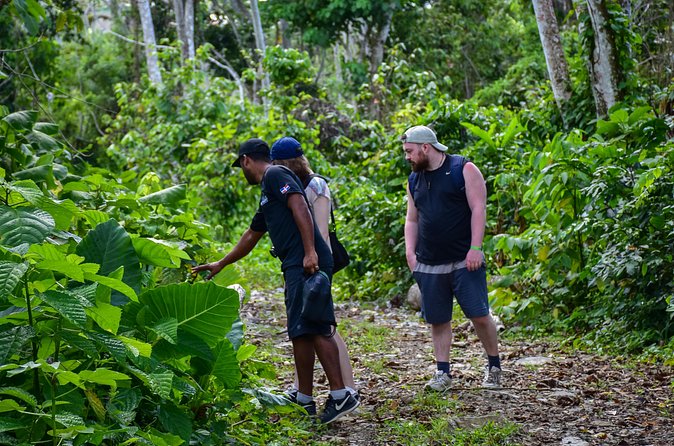 Let's do hiking in Punta Cana - Price and Value: Why $75 Can Be a Real Win