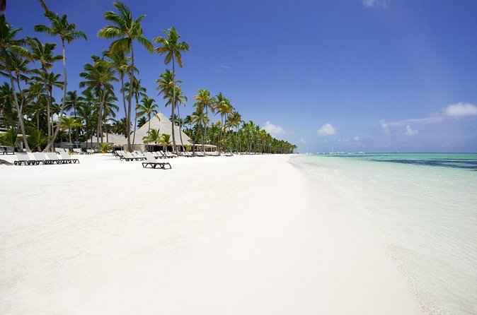 Live Aqua Beach Resort Punta Cana - Round Trip Shuttle - Punta Cana Airport - What you get for $133.34: value that depends on your group size