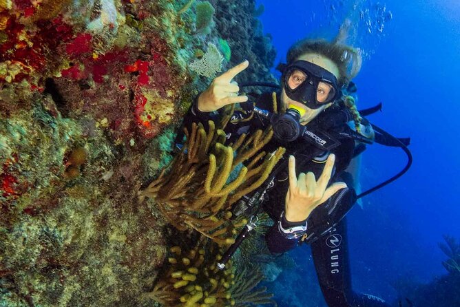 Local diving Bávaro -Double tank - Your morning plan: 9:00 start, two sessions, tank change, back again