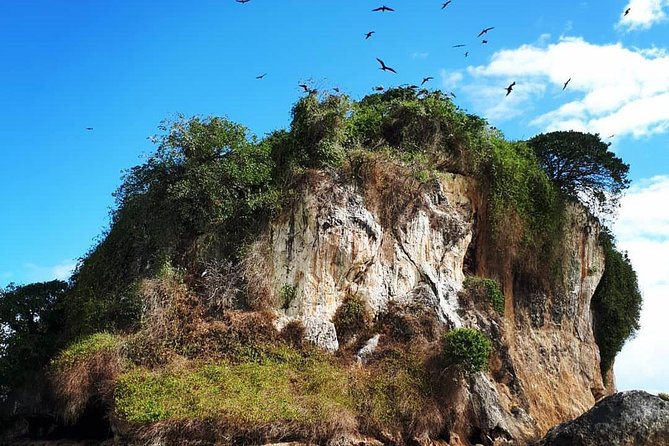Los Haitises & Cayo Levantado (Lunch included, from Samana in Catamaran or Boat) - Cueva de la Arena, a toast, and that slow cave pace