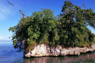 Los Haitises & Cayo Levantado (Lunch included, from Samana in Catamaran or Boat) - La Linea Cave and Taíno rock paintings: the human story in the park