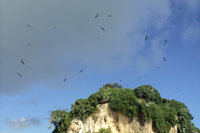 Los Haitises National Park and Cayo Levantado Island Day Trip from Samana - Who should book this Los Haitises and Cayo Levantado day trip
