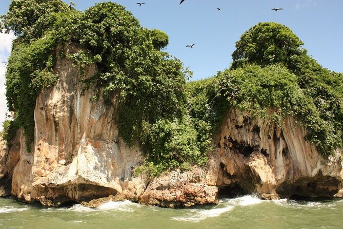 Los Haitises National Park, Montaña Redonda & Bacardi Island - Early pickup from Puerto Plata: timing and getting comfortable