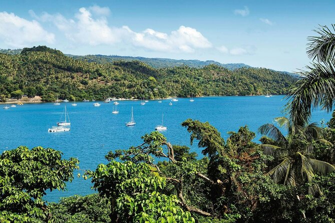 Los Haitises National Park, Montaña Redonda & Bacardi Island - Los Haitises National Park: caves, migrating birds, and mangroves
