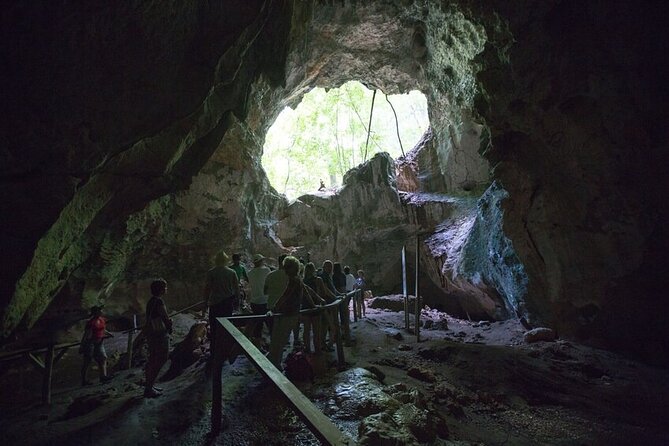 LOS HAITISES National Park - Punta cana - Hidden beaches and limestone cliffs: the scenery break you’ll remember