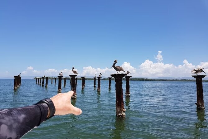 LOS HAITISES National Park - Punta cana - Lunch in the Dominican Republic: included and worth planning around