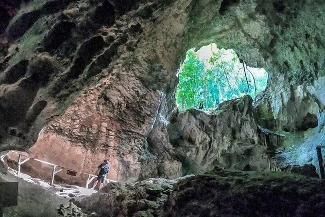 LOS HAITISES National Park - Punta cana - Taino caves and cave art: what you’ll see and why it matters