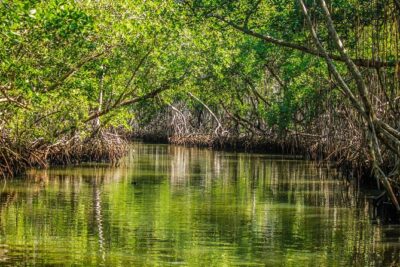 Los Haitises National Park Tour from Las Terrenas or Samana (Half Day Trip) - Pickup to Samana Bay crossing: the ride that sets the tone