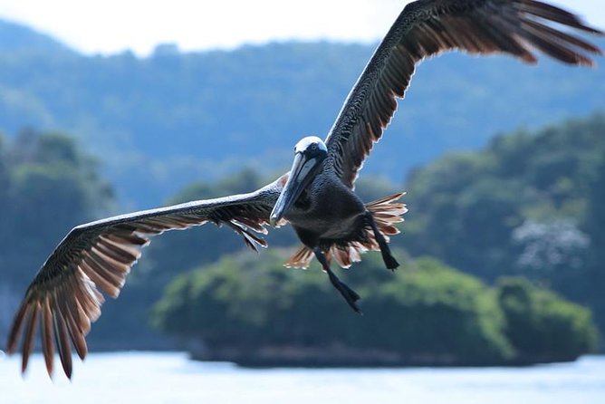 Los Haitises National Park Tour from Punta Cana Montana Redonda and Cano Hondo - Weather, timing, and what to pack for a smoother day