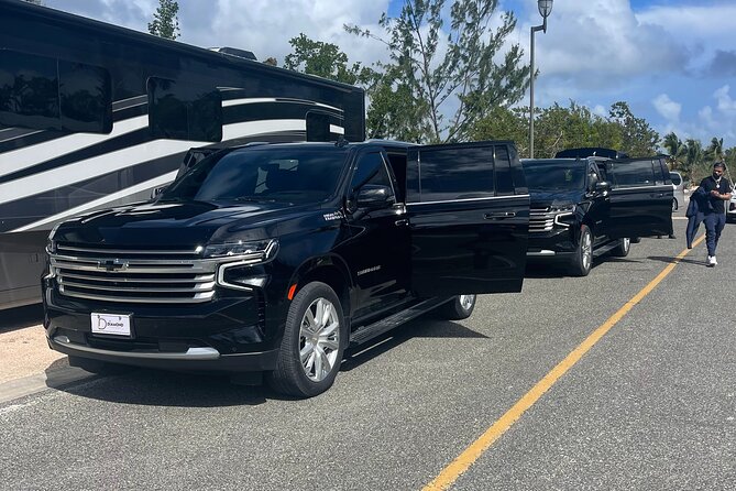 Luxury Transfer between Punta Cana Airport and Bavaro Hotels - Small-Group Feeling Without the Guesswork