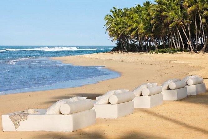 Majestic Elegance - Round Trip Shuttle - Punta Cana Airport - Meeting Your Driver in Punta Cana: Signs, Names, and Hotel Zones